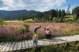 Wonderful ambience at the moor nature trail