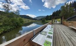 Information boards along the trail