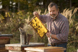 Beekeeping Kreiner in Passail