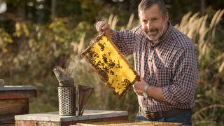 Beekeeping Kreiner / Honey / Nature Park