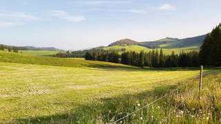 Gerlerkogel / Teichalm / Hike