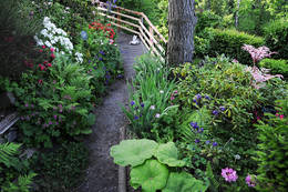 Herb trails in the Hanging Gardens of Sulamith