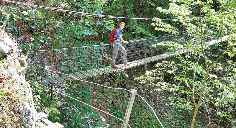 Jägersteig suspension bridge Photo WEGES