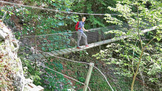 Patscha-Runde / Jägersteig / Hike
