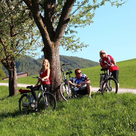 Cycling Nature Park Almenland