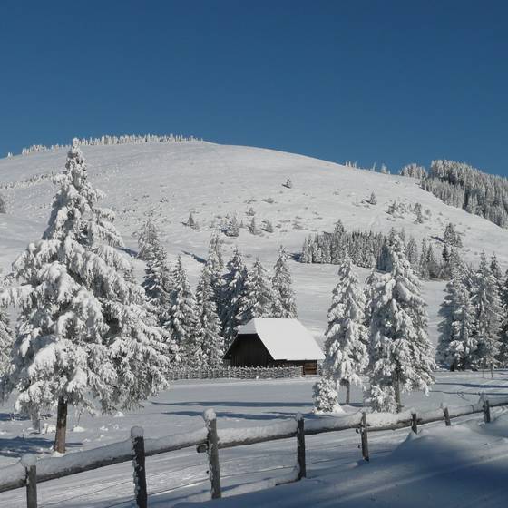 View of the snow-covered winter landscape