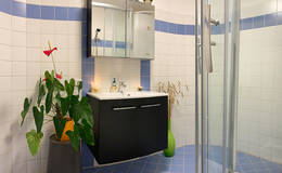 Bathroom in the Raabklamm vacation apartment