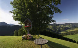 Landscape in Gasen in the nature park Almenland