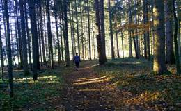 Bee nature trail above Passail