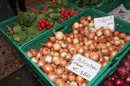 Regional delicacies at the Weiz farmers' market