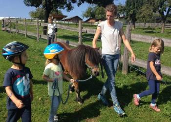 Organic farm Eibisberger Pony hike