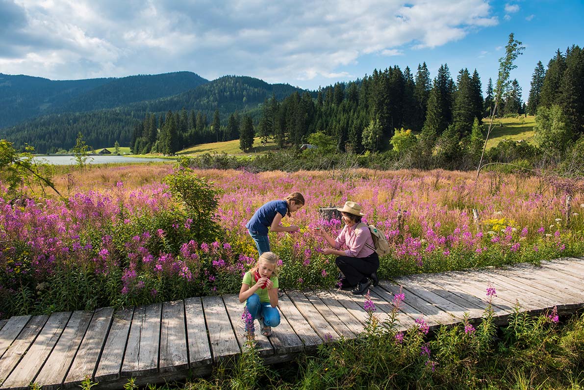 Teichalm moor nature trail, nature tour