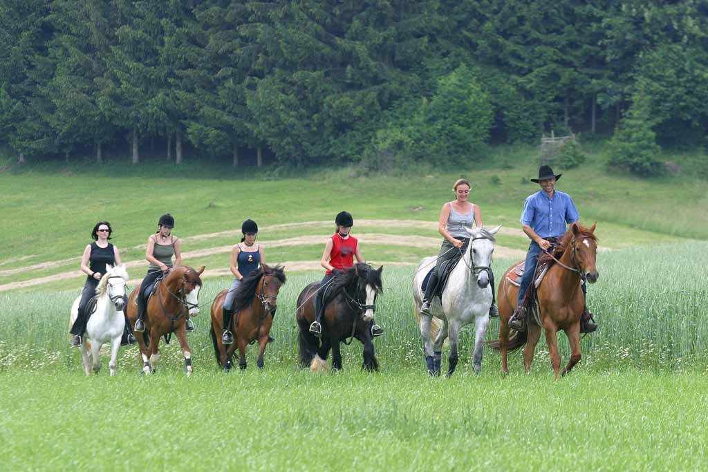 Organic and horse farm Stockner