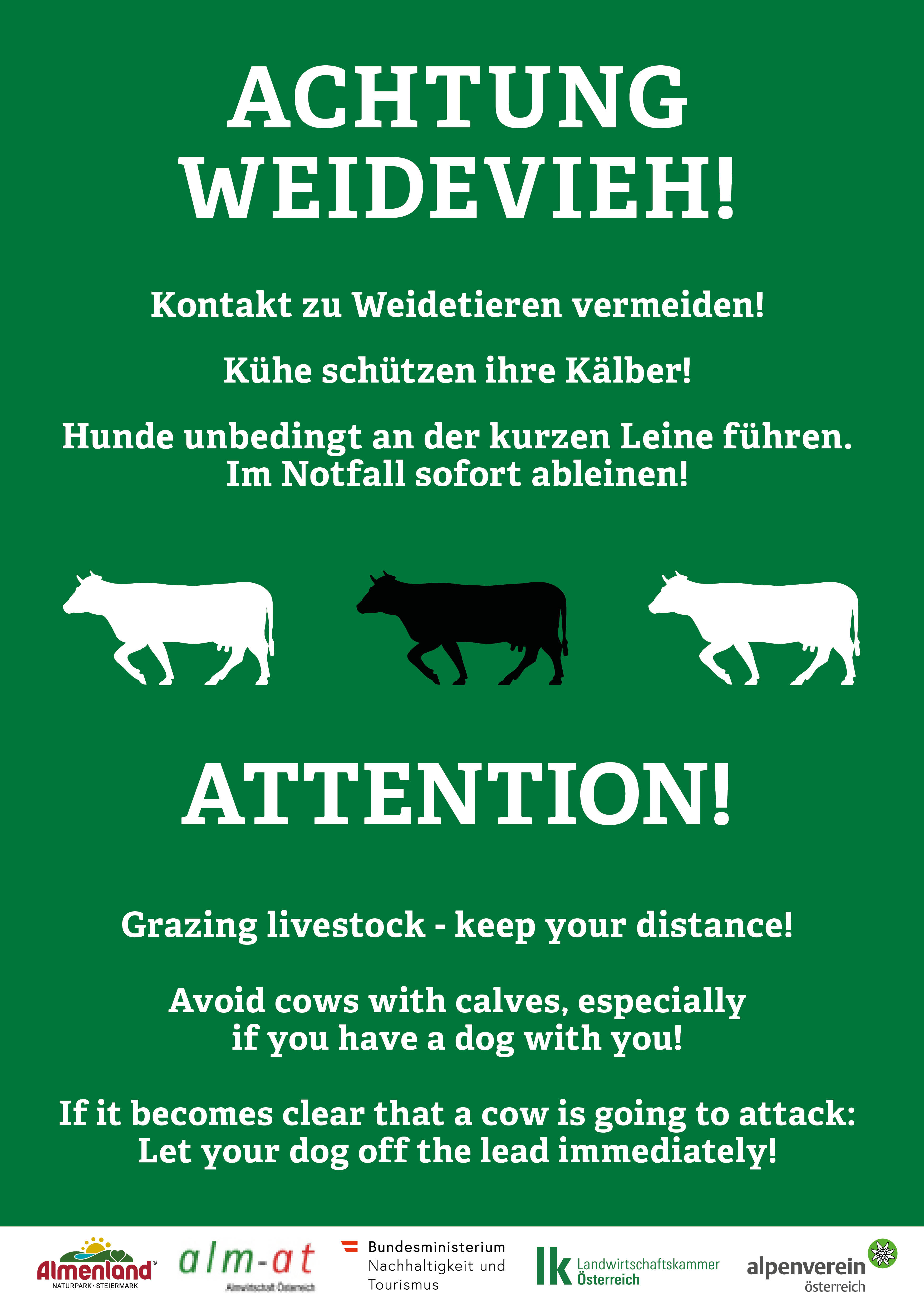 Handling the grazing animals