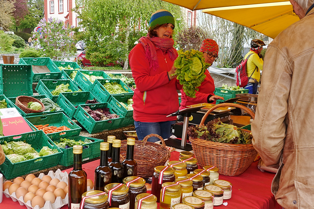 Farmer at the Weizer farmers' market