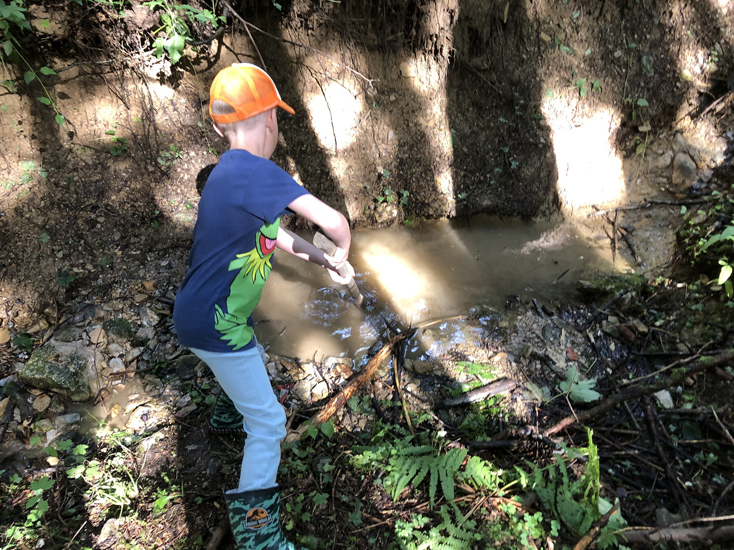 Playing and exploring by the stream