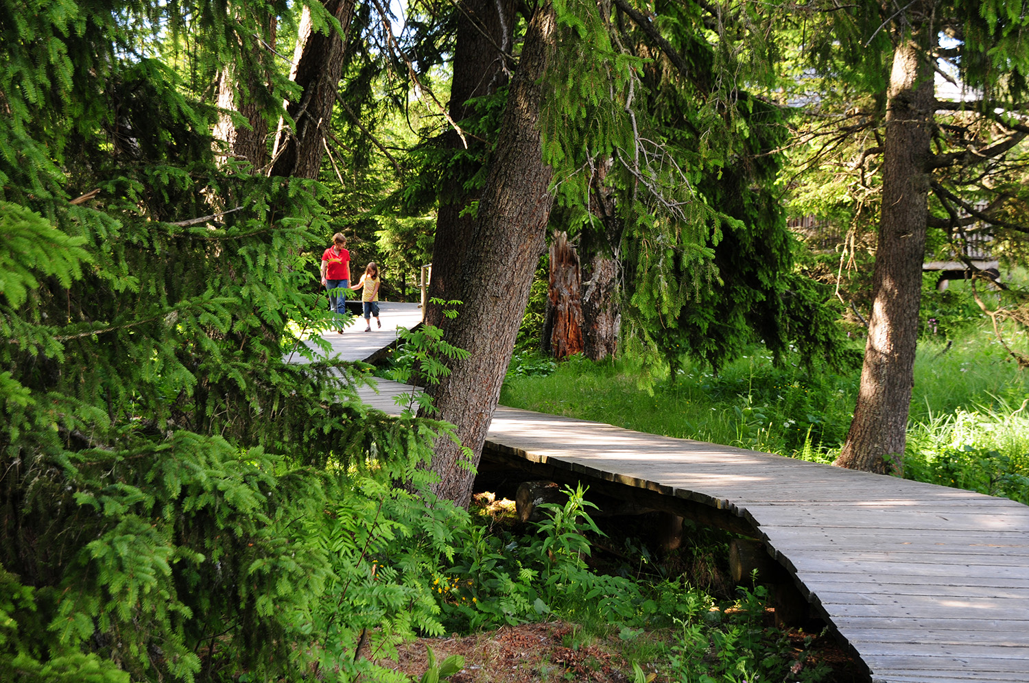 Moor nature trail in the nature park Almenland