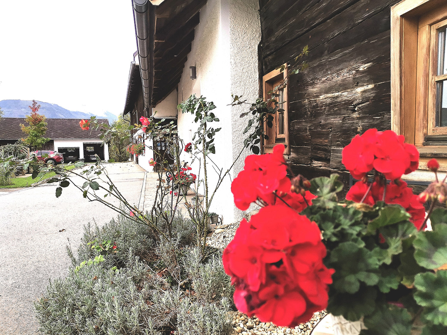 Courtyard view