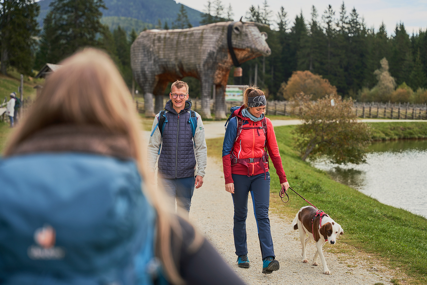 Hiking with a dog on a lead