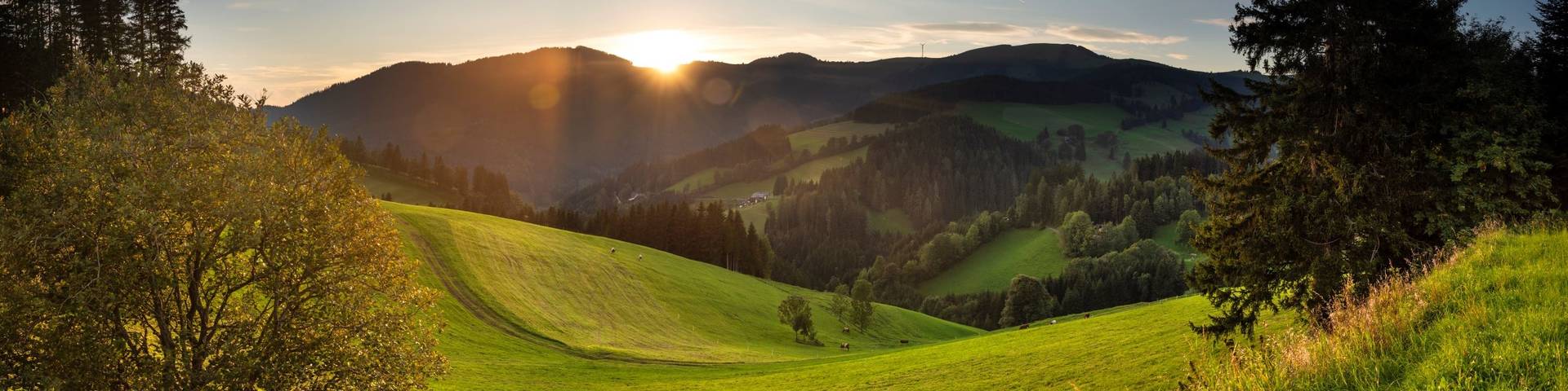 View Sommeralm