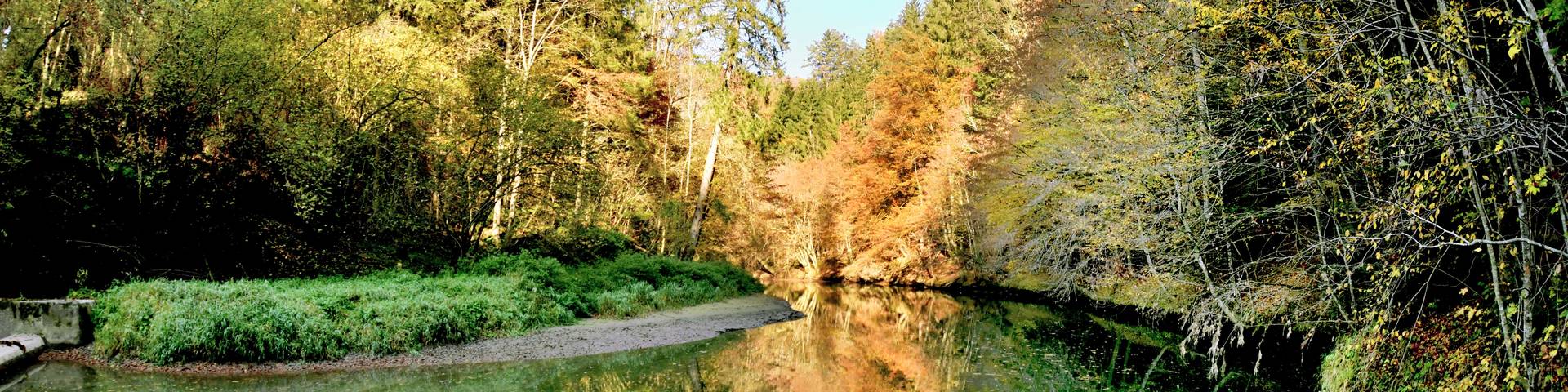 In the Raabklamm gorge