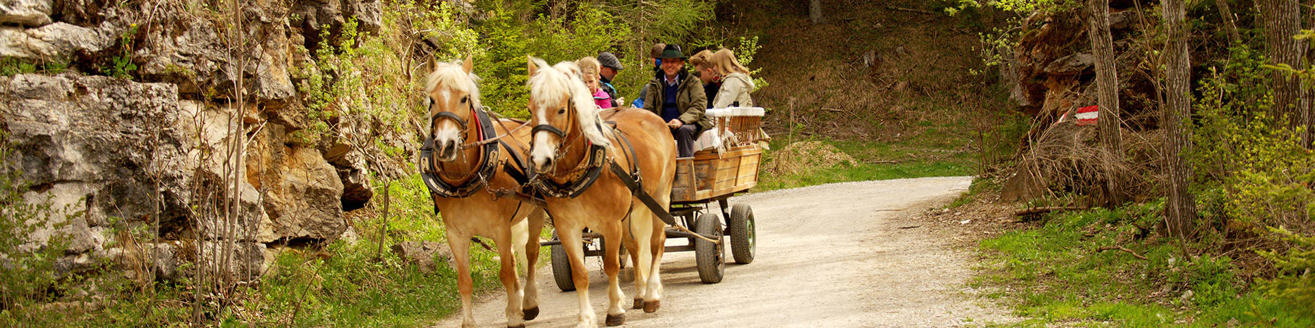 Pferdeschlittenfahrt auf der Teichalm