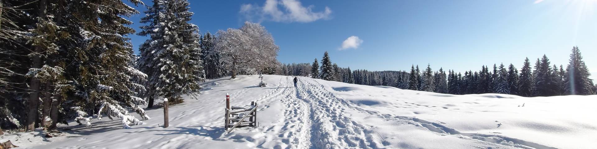 Winter on the Sommeralm