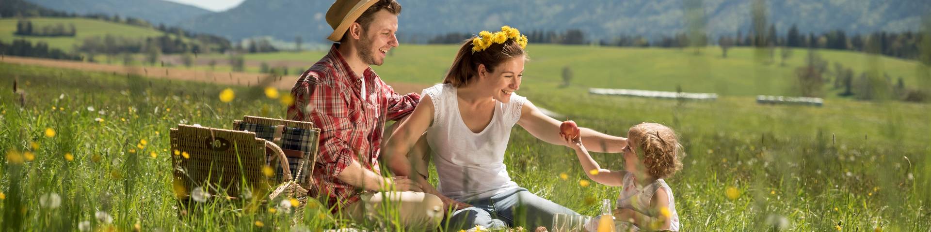 Dandelion picnic