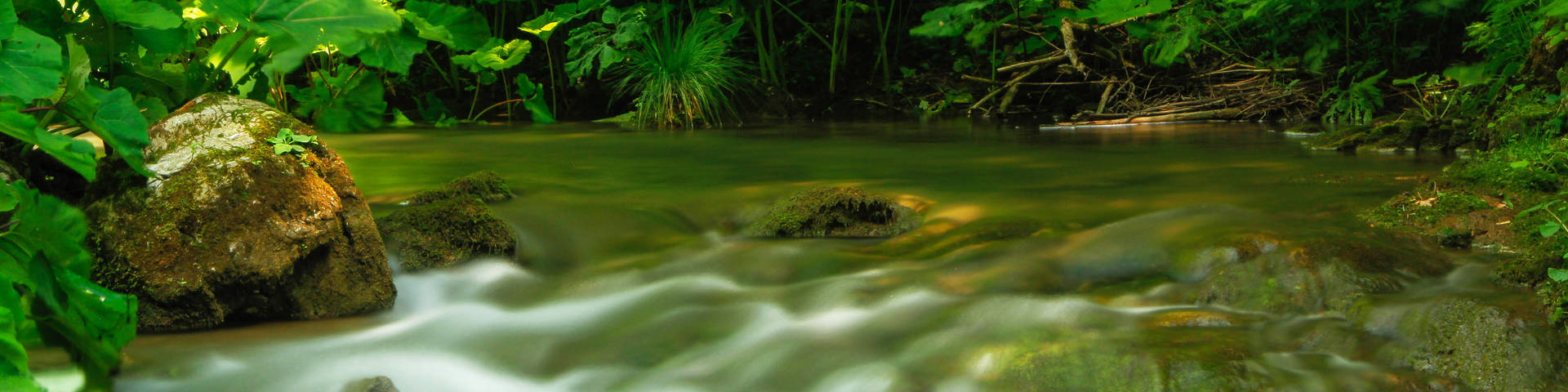 The spring at the Raabursprung