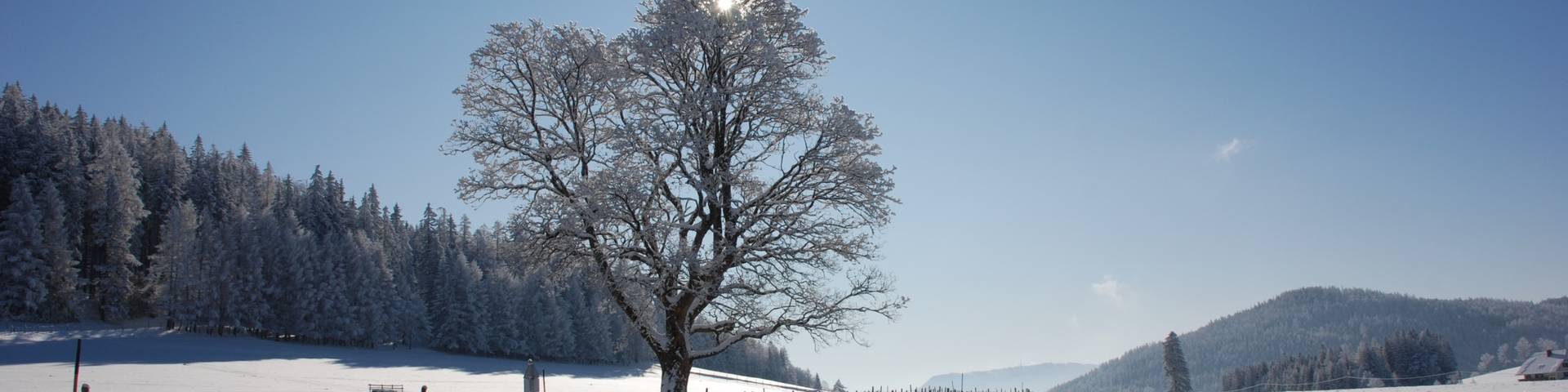 Nechnitz in winter