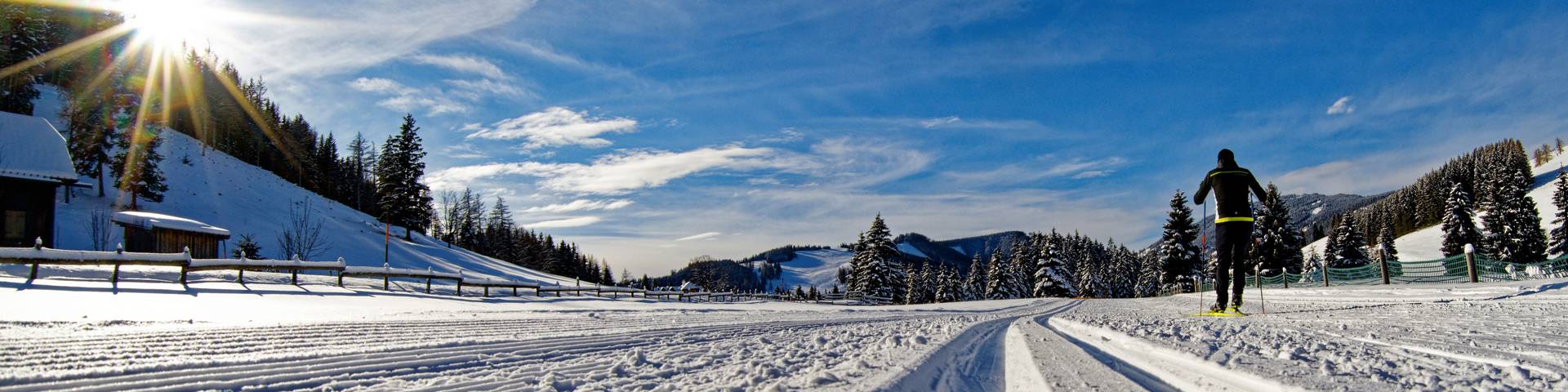 Tracks in the snow