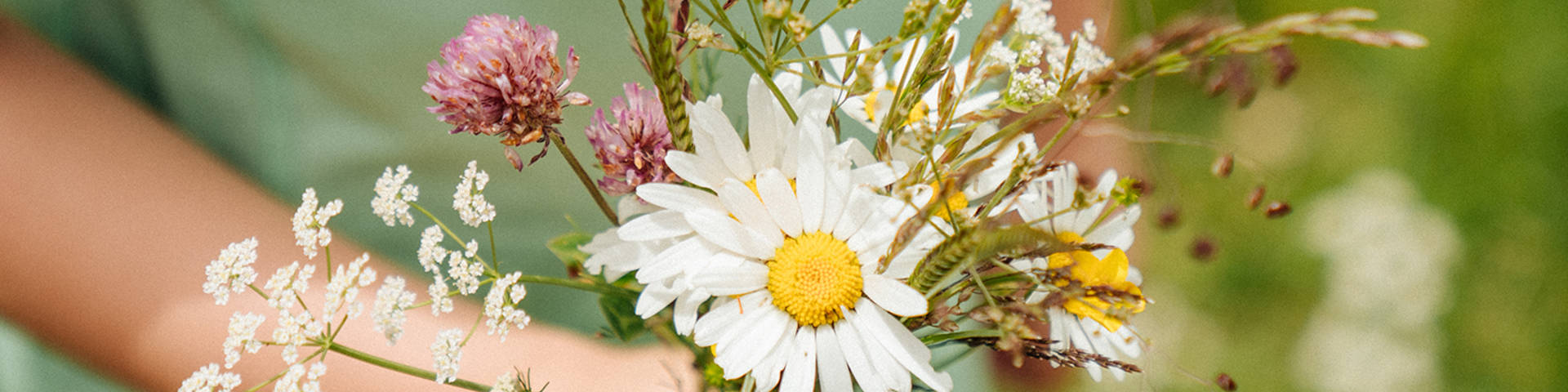 Bouquet of flowers from the Almenland Nature Park