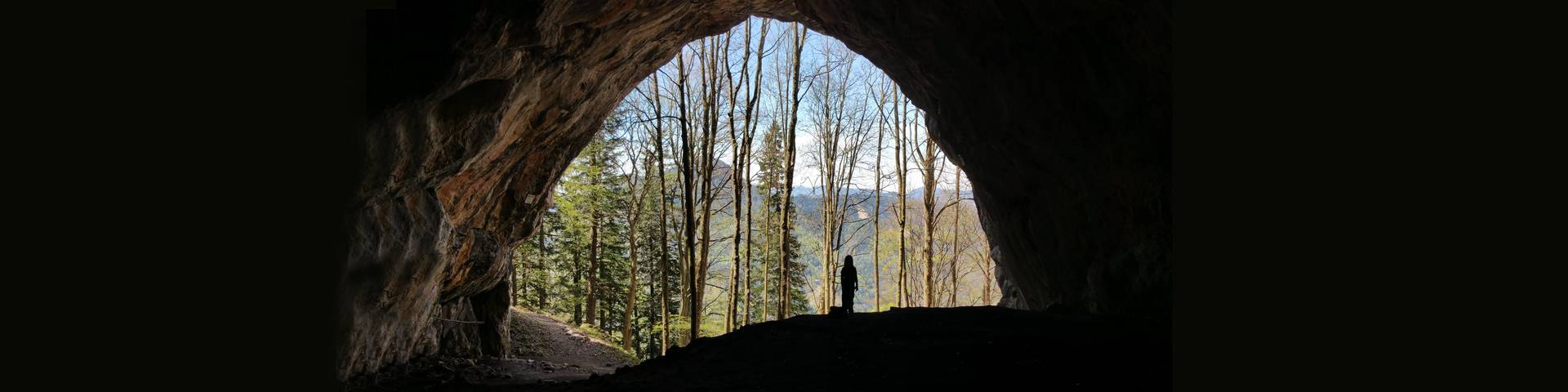 In the dragon's lair 